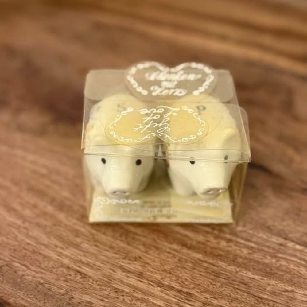 Reutter Floral Pig Salt and Pepper Shaker Set~Made in Germany